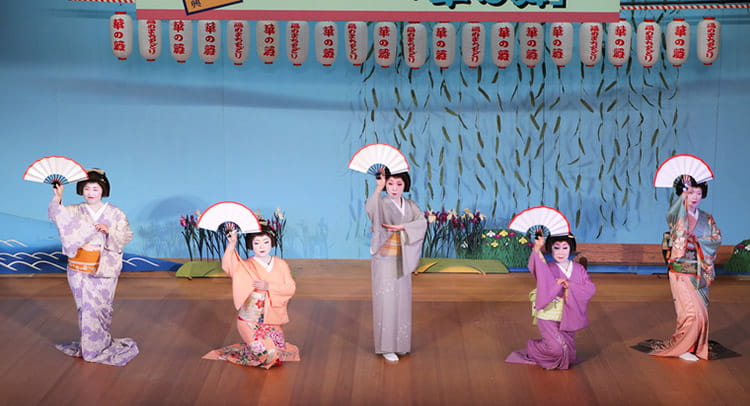 芸妓プラン