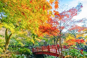 熱海梅園もみじまつり